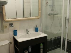 Appartement Les Adrets-Prapoutel, 2 pièces, 6 personnes - FR-1-557-50