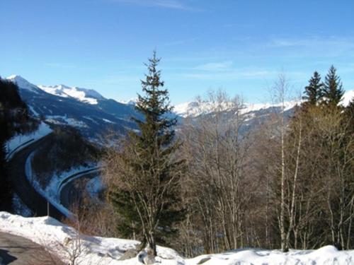 Appartement Les Arcs 1600, 2 pièces, 7 personnes - FR-1-411-159