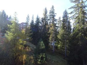 Appartement Les Arcs 1800, 1 pièce, 5 personnes - FR-1-411-616