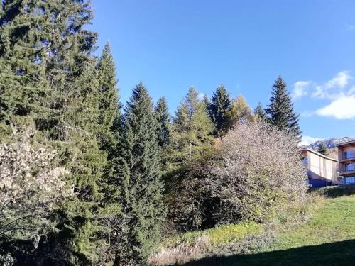 Appartement Les Arcs 1800, 1 pièce, 5 personnes - FR-1-411-676