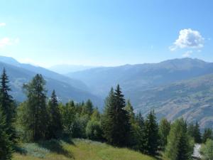Appartement Les Arcs 1800, 2 pièces, 5 personnes - FR-1-411-104