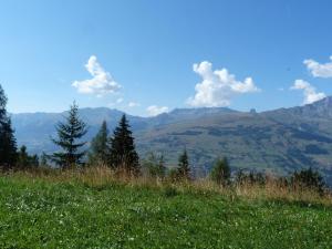 Appartement Les Arcs 1800, 2 pièces, 5 personnes - FR-1-411-23