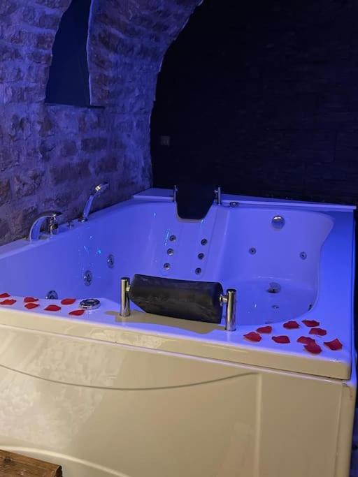 Appartement Les aventures de Lysie 11100 Narbonne