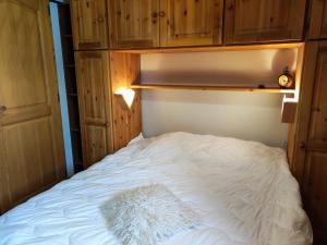 Appartement Les Carroz d'Arâches, 3 pièces, 4 personnes - FR-1-572-274