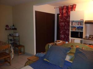 Appartement les Carroz d'Arraches