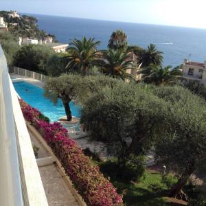 Appartement Les Oliviers