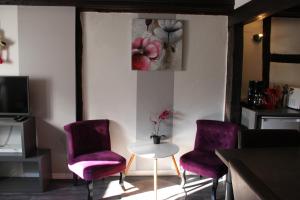 Appartement Appartement les Violettes 10 place de l'Ecole 68000 Colmar Alsace