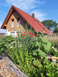 Appartement Lignum