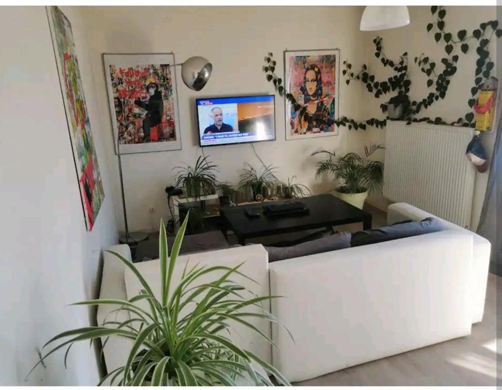 Appartement lumineux à 20 mètres du métro 70 Boulevard de Belfort, 59000 Lille