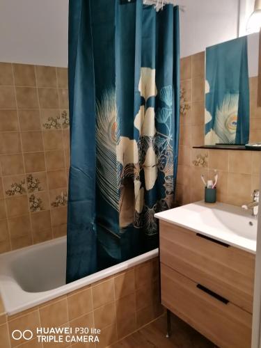 appartement lumineux Arrens-Marsous