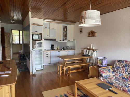 Appartement lumineux pied de piste - chez Sabrina