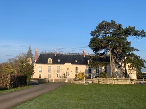 Appartement luxe avec terrasse sur château
