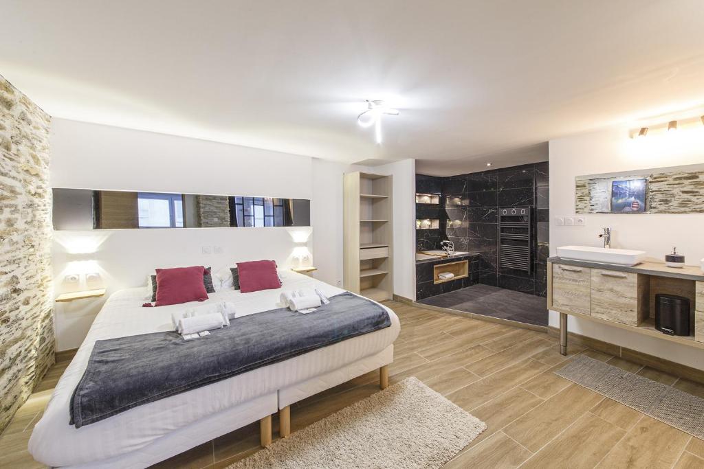 Appartement Appartement luxueux au coeur de la Doutre 5 rue Saint-Jacques, 5 49000 Angers