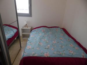 Appartement Marseillan-Plage, 2 pièces, 4 personnes - FR-1-326-668