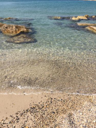 Appartement Marseille Plage Stade Velodrome
