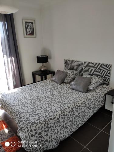 appartement marseille velodrome