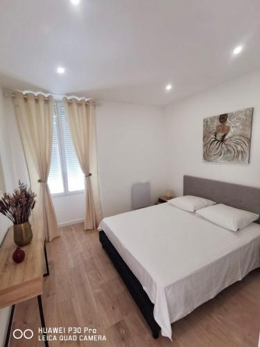 Appartement meublé 55 m2 avec terrasse 35m2 au cœur du Sud-ouest
