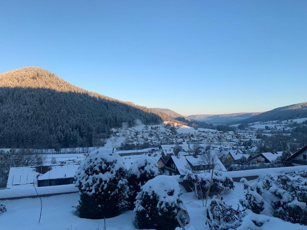 Appartement mit herrlicher Aussicht übers Murgtal 15 Rosshaldeweg, 72270 Baiersbronn