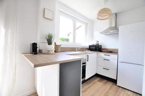 Appartement Moderne à Rosendael