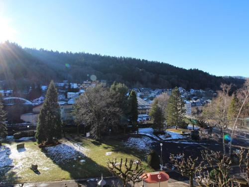 Appartement Mont-Dore, 2 pièces, 4 personnes - FR-1-608-115