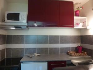 Appartement Mont-Dore, 2 pièces, 4 personnes - FR-1-608-83