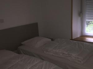 Appartement Mont-Dore, 3 pièces, 4 personnes - FR-1-415-16