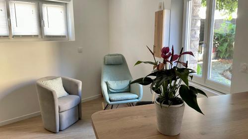 Appartement Montargis, avec cours privative