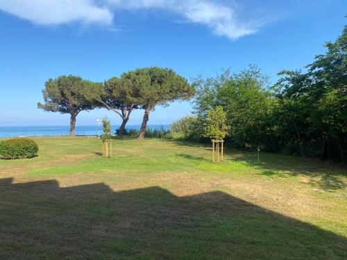 Appartement n 216 Moriani plage
