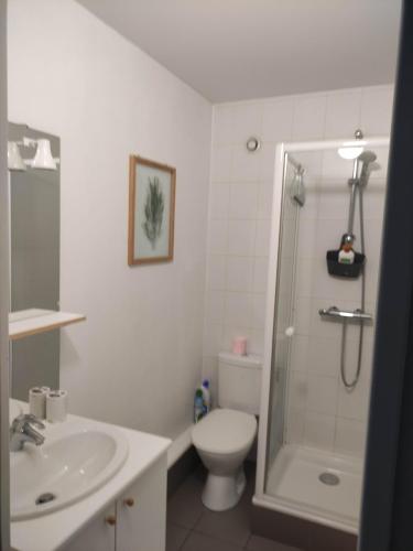 APPARTEMENT NANCY THERMAL/ARTEM/PARC STE MARIE Le 61 LES THERMES
