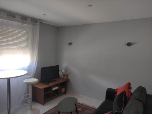 APPARTEMENT NANCY THERMAL/ARTEM/PARC STE MARIE Le 61 LES THERMES