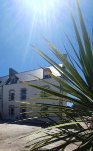 Appartement neuf 3 chambres tout confort face au Port