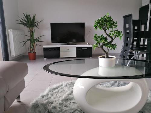 Appartement neuf dans un quartier paisible