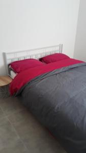 appartement neuf P3 50m2