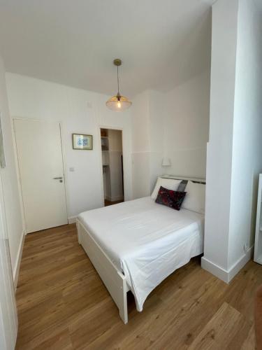 Appartement neuf, T3, route des Sanguinaires