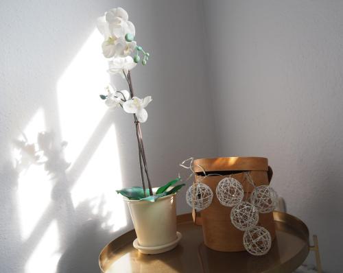 Appartement Nordkrone Hafenstadt Sassnitz