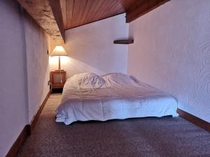 Appartement Notre-Dame-de-Bellecombe, 1 pièce, 5 personnes - FR-1-595-17