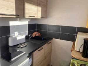 Appartement Orcières Merlette, 1 pièce, 4 personnes - FR-1-262-99