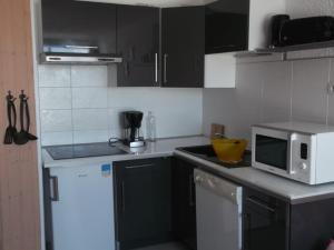 Appartement Orcières Merlette, 1 pièce, 6 personnes - FR-1-262-123