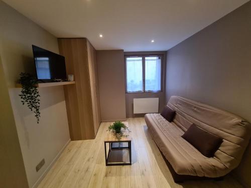 Appartement Orléans, 1 pièce, 2 personnes - FR-1-590-241