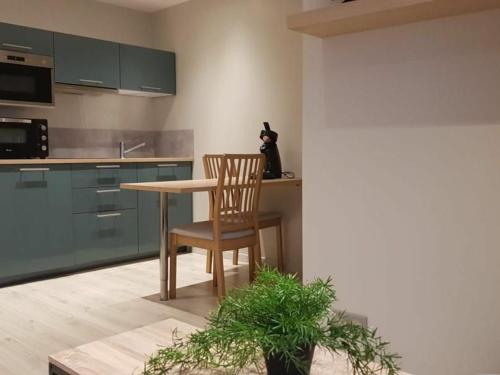 Appartement Orléans, 1 pièce, 2 personnes - FR-1-590-241
