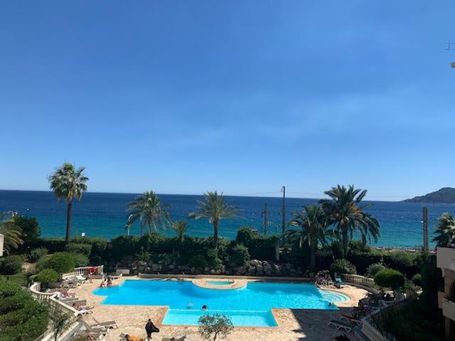 appartement palme d'azur vue mer et piscine 6 Rue de la Verrerie, 06150 Cannes