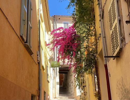 Appartement PALMIERS, Cœur de ville sur le parcours des arts