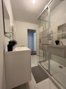 APPARTEMENT PAUL SIBRA - CONVIVIAL - BILLARD