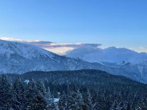Appartement pieds des pistes, 6p, piscine, vue imprenable, Chamrousse