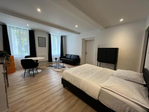 APPARTEMENT PIERRE FABRE - ELEGANT - CENTRE VILLE