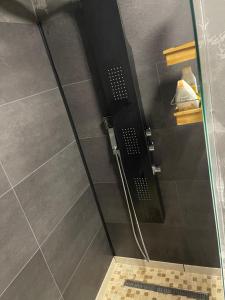 Appartement pinède des Issambres