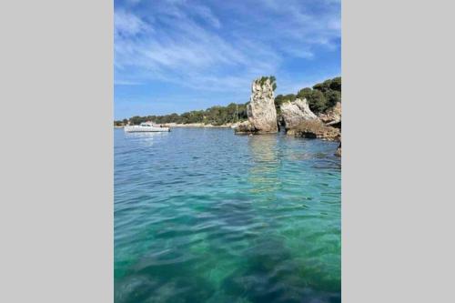 APPARTEMENT PISCINE TERASSE GYM SAUNA BALNEO
