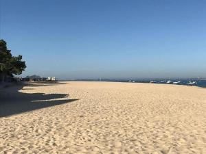 Appartement plage Pereire-Arcachon