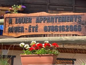 APPARTEMENT PLEIN SUD AUX SAISIES N°6