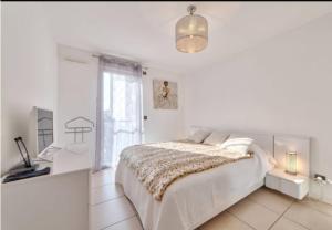 Appartement pointe Croisette